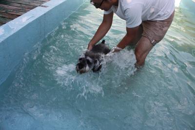 IMG_8081_convert_20120826212043.jpg