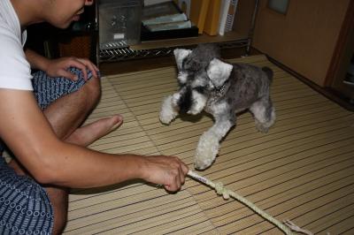 IMG_8153_convert_20120912001042.jpg