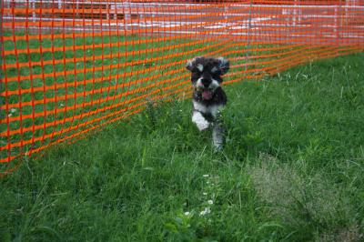 IMG_8286_convert_20120916090648.jpg
