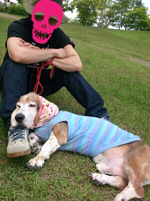 fc2blog_20120619153146632.jpg