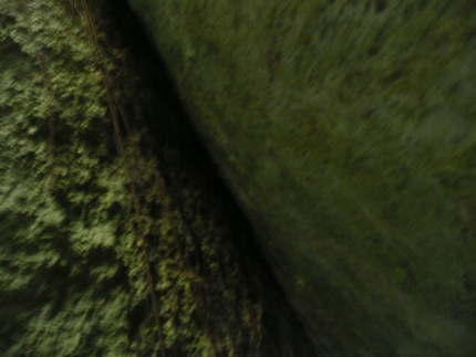 068_20140111170532da7.jpg