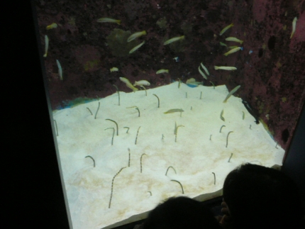 142_2014011408264687a.jpg