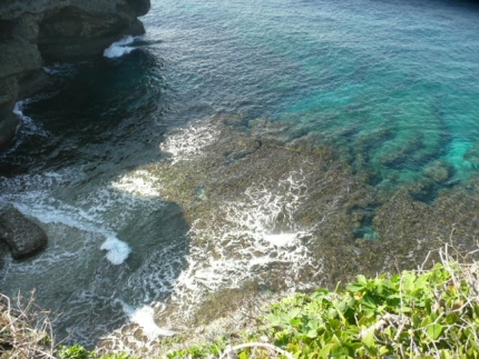 166.jpg