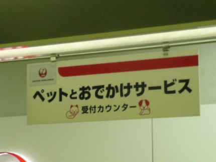 318.jpg
