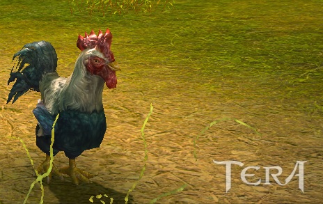 TERA_ScreenShot_20110814_121321.jpg
