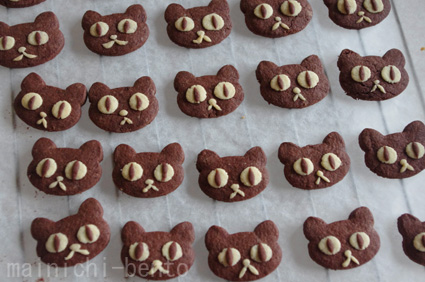 halloween-blackcats.jpg