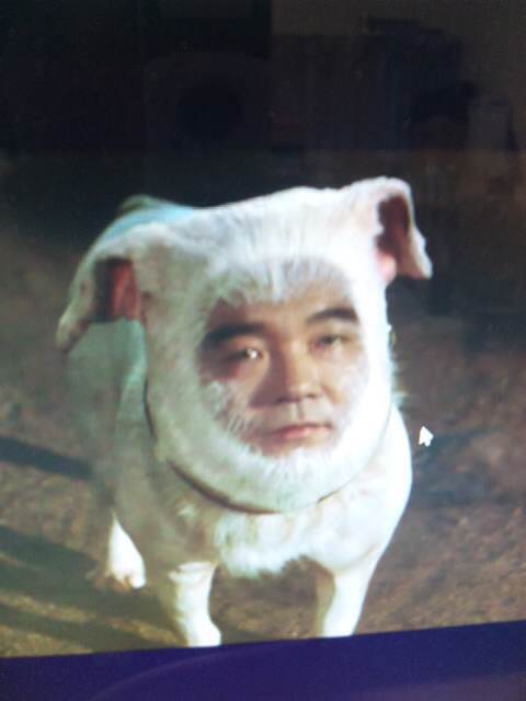 20141103004.jpg