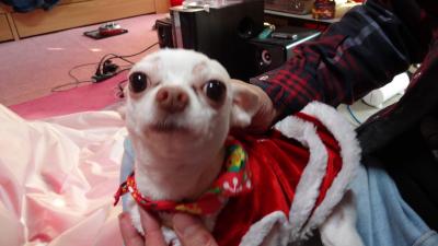DSC00149_convert_20121231165022.jpg