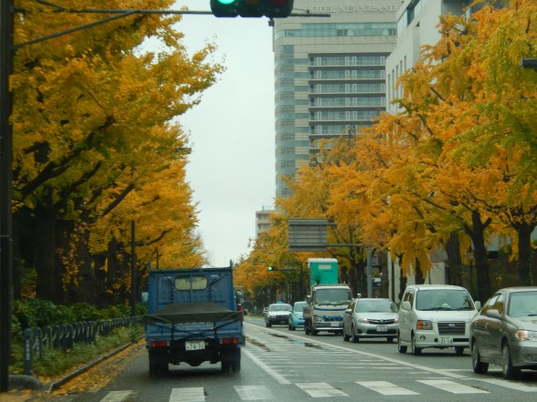 びぃなむ246-01