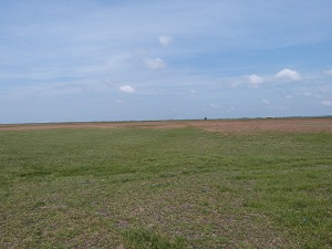 P1010537.jpg