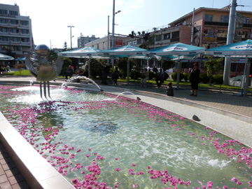 P1020017.jpg
