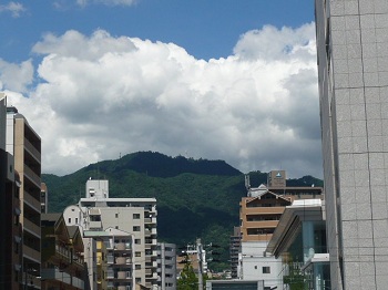 P1080453.jpg