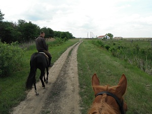 P2000001.jpg