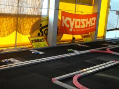 DSC05781.jpg