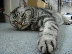 DSC06174.jpg