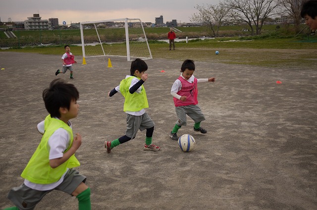 P1120974.jpg