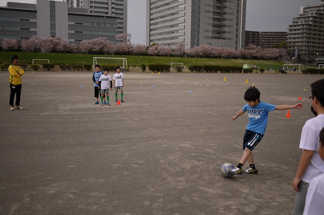 P1130013.jpg