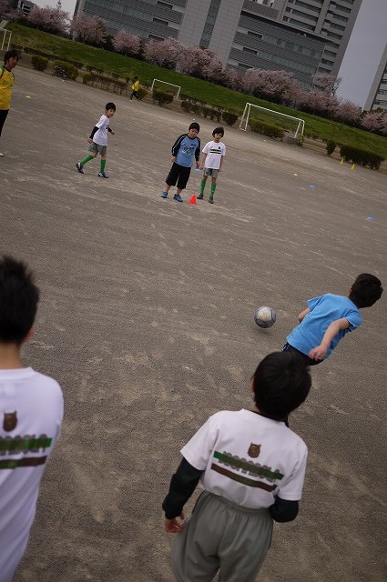 P1130019.jpg
