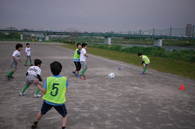 P1130021.jpg