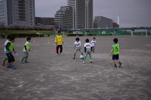 P1130023.jpg