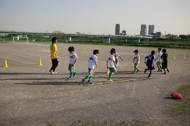 P1130165.jpg
