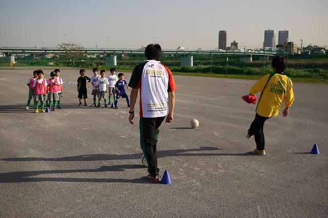 P1130174.jpg