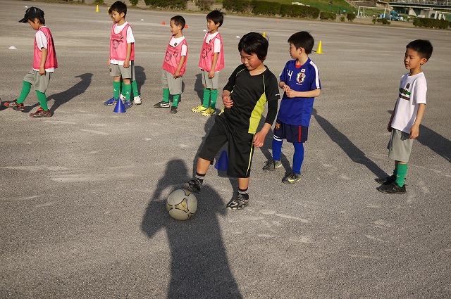 P1130179.jpg