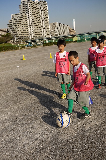 P1130183.jpg