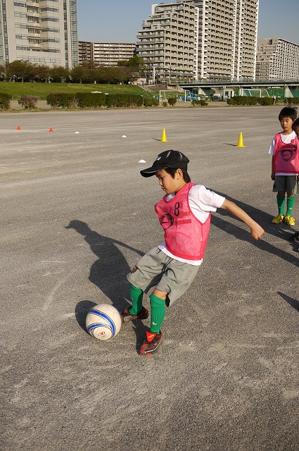 P1130187.jpg