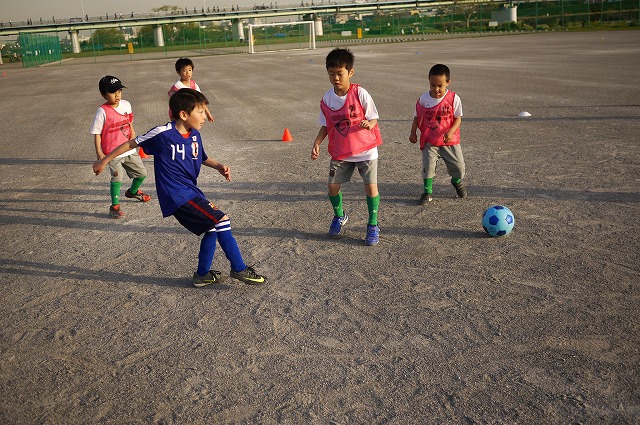 P1130233.jpg