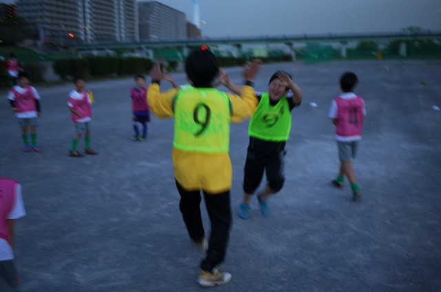 P1130268.jpg