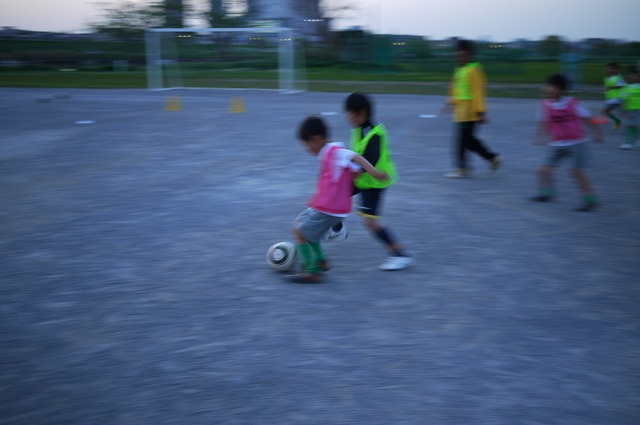 P1130274.jpg