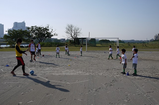 P1140525.jpg