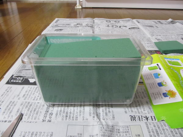 オアシス