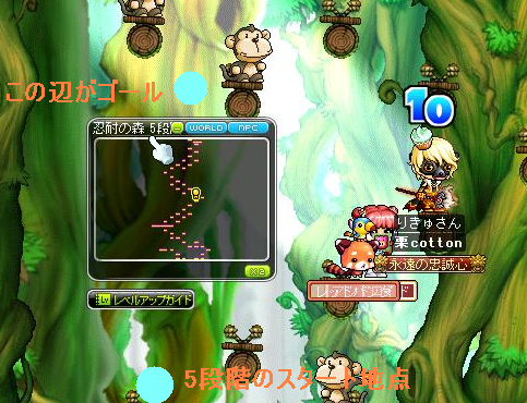 nintai3.png