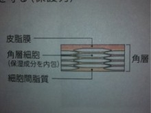 $美の内緒話