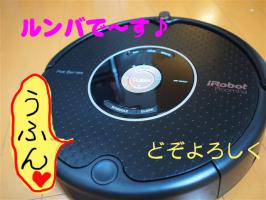 P6265990のコピー