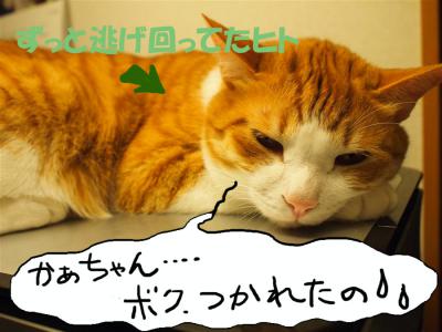 P6276005のコピー