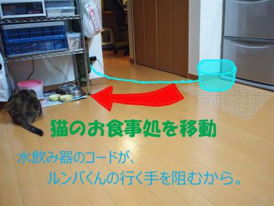P6276002のコピー