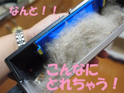 P6276000のコピー
