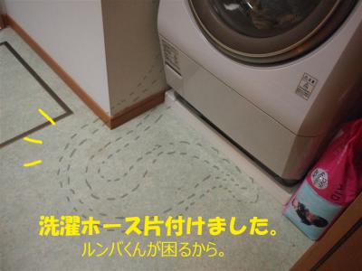 P6276006のコピー