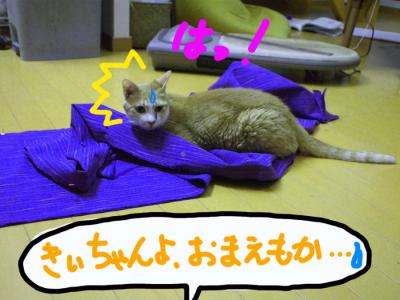 P7266169のコピー