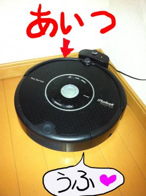 IMG_1042_20120629211321.jpg