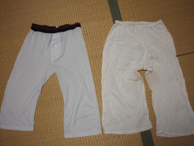 P8146320.jpg