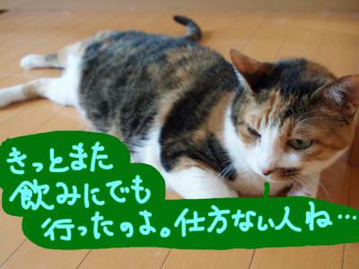 P8176372-1.jpg
