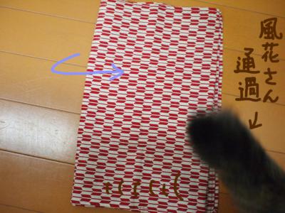 P91765591.jpg