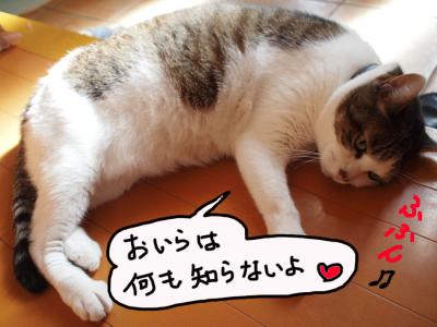 P91865931.jpg