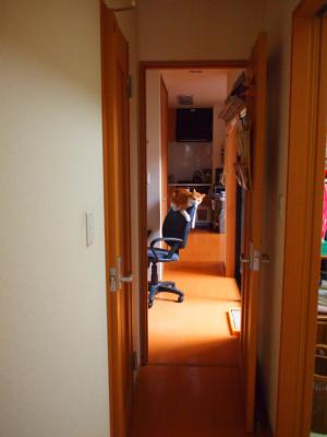 P9256660.jpg