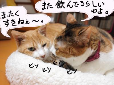 P92967091.jpg