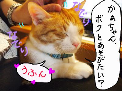 PB0269381.jpg